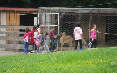 Parcul zoologic de la Mănăstirea Florești, o atracție pentru copiii din localitate