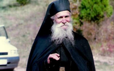 Starețul Tadei de la Vitovnița și disciplina minții | Episcopul Benedict Bistrițeanul