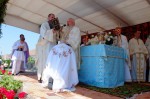 Prezență arhierească în parohia bistrițeană „Sfinții Apostoli Petru și Pavel” din Livezile
