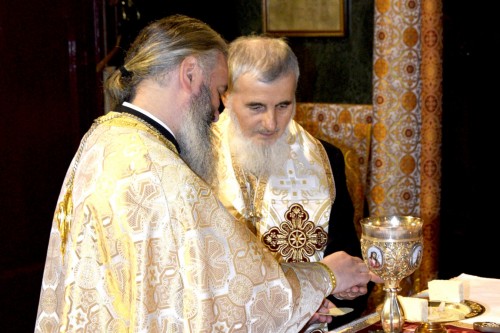 Preasfinţitul Vasile Someșanul, la ceas aniversar