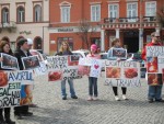 Marșul pentru Viață 2016: „Protejează viața, spune NU avortului!”