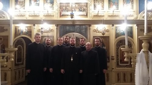 Comuniune în slujire, în parohia ortodoxă Bologa