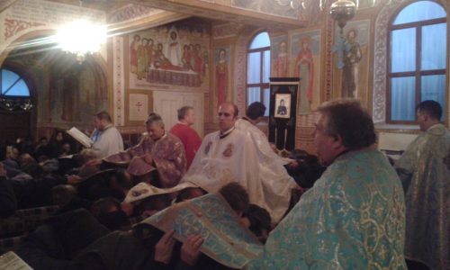 Cerc Preoțesc în Parohia Ortodoxă Sălișca