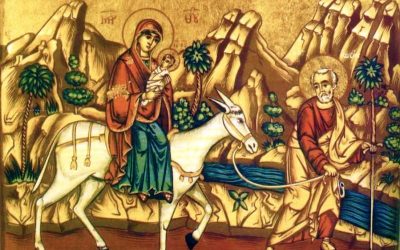 Agenda Ierarhilor din Mitropolia Clujului, la Duminica după Nașterea Domnului