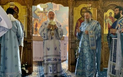 Mitropolitul Andrei: „Păcat și suferință” | Predică la Duminica a IV-a după Paști (a vindecării slăbănogului de la Vitezda) – 10 mai 2020