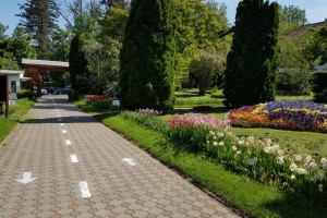 AUDIO | 133 de ani de la nașterea fondatorului Grădinii Botanice din Cluj