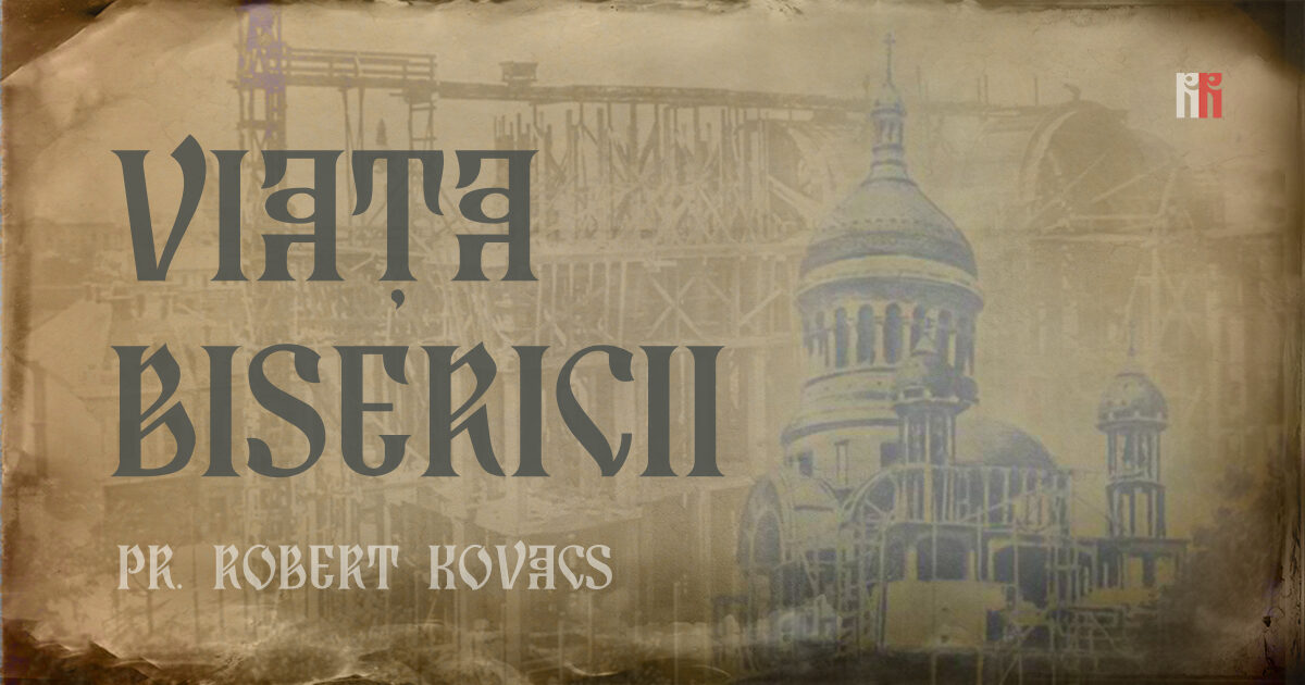 Dinamica misiunii din Calcutta, pe baza experienței Preasfințitului Petroniu