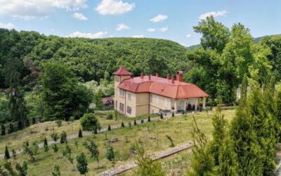 Tradiții și jocuri din satele Bucea și Negreni, în Muzeul „Octavian Goga” din Ciucea