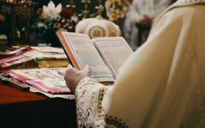 În Sfânta Scriptură se lămureşte rostul fiecărui om şi fiecărui neam | Sfântul Nicolae Velimirovici