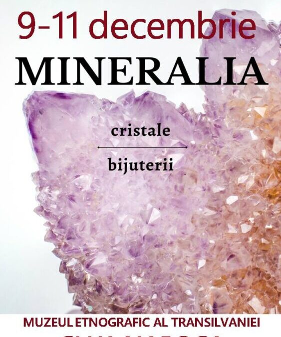 Expoziția Mineralia | Muzeul Etnografic al Transilvaniei