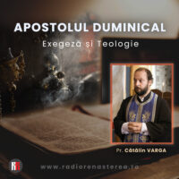 Apostolul duminical - Exegeză și Teologie