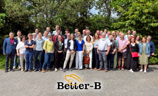 Better-B - Proiect cu finanțare de 6,3 milioane de euro, pentru adaptarea la tehnologiile apicole avansate