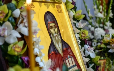 Agenda ierarhilor la sărbătoarea Sfântului Dimitrie cel Nou, ocrotitorul Bucureștilor