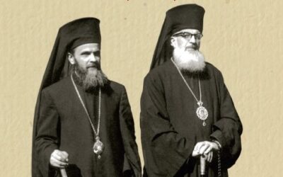 Arhiepiscopia Vadului, Feleacului şi Clujului (1973-2023). Întâiul episcop-vicar