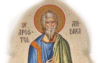 Agenda ierarhilor la sărbătoarea Sfântului Apostol Andrei