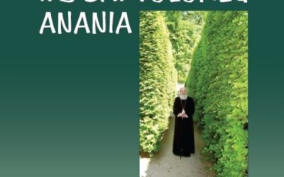Nicoleta Pălimaru | Întâlniri cu IPS Bartolomeu Anania. Pagini de jurnal (2000-2011)