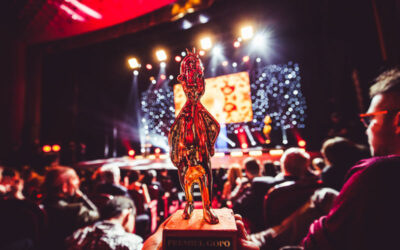 Gala Premiilor Gopo 2024: Cine sunt vedetele așteptate pe covorul roșu