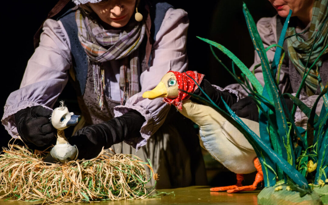 Spectacolul „Rățușca cea urâtă” revine la Teatrul de Păpuși „Puck”