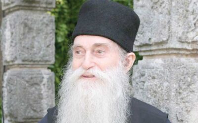 Părintele Arsenie Papacioc mărturisindu-şi Patriarhul | Mircea Gelu Buta