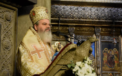 PS Ignatie Episcopul Hușilor | Predică la Duminica a 3-a după Rusalii (Despre grijile vieții)