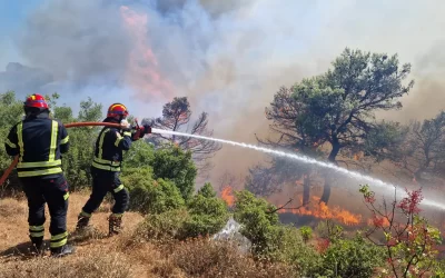 Mănăstirile grecești Nea Makri și Penteli, evacuate. Pompierii români luptă cu incendiile din zonă